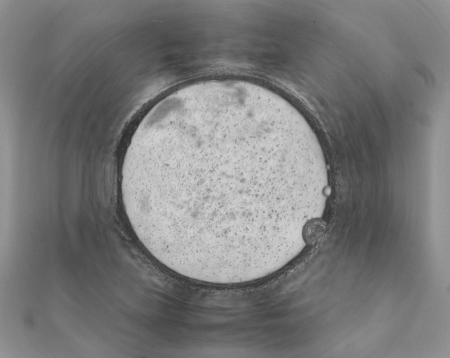 X0000111661219200908141306