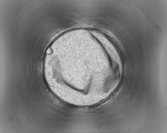 X0000111661220200908141306