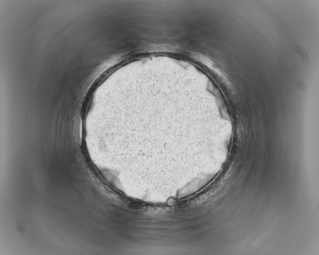 X0000111661221200908141306