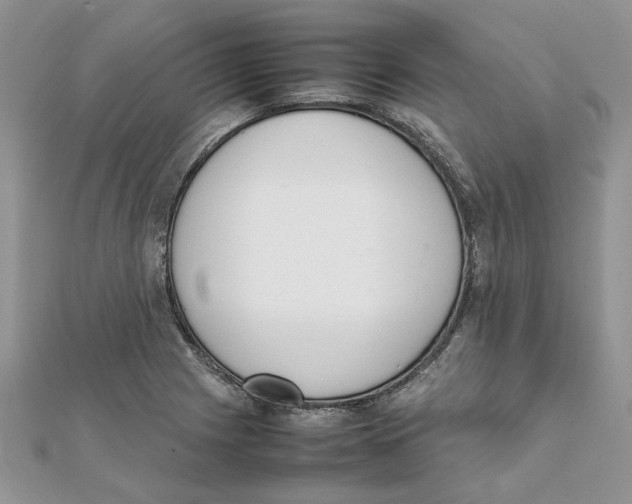 X0000111661225200908141306