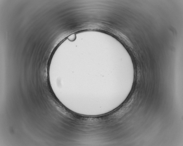 X0000111661226200908141306