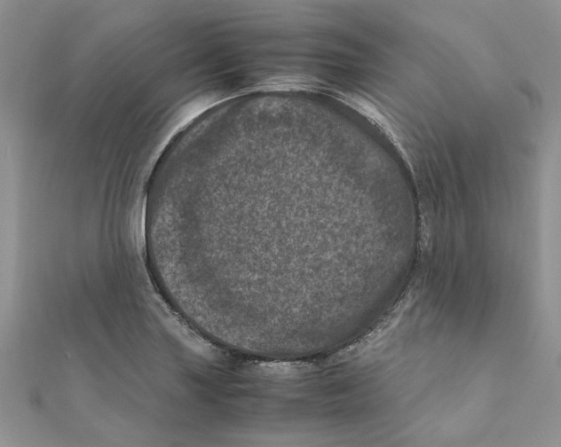 X0000111661227200908141306