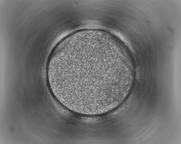 X0000111661229200908141306