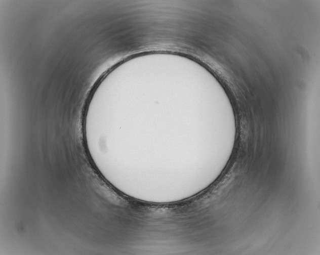 X0000111661230200908141306