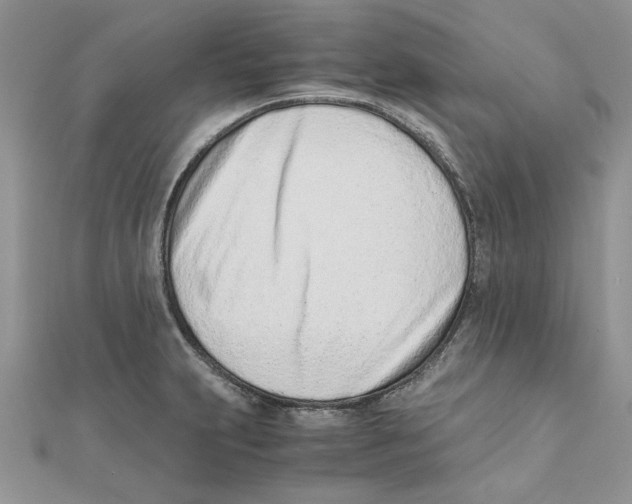 X0000111661231200908141306