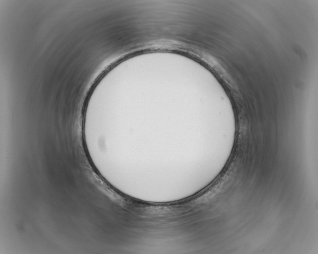 X0000111661232200908141306