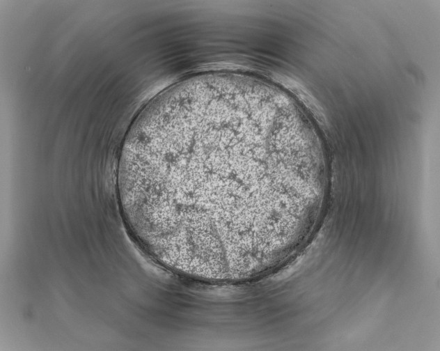 X0000111661233200908141306