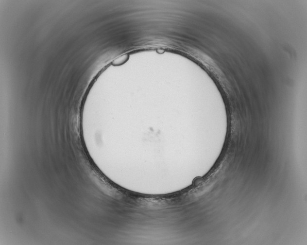 X0000111661234200908141306