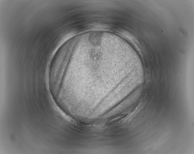 X0000111661235200908141306