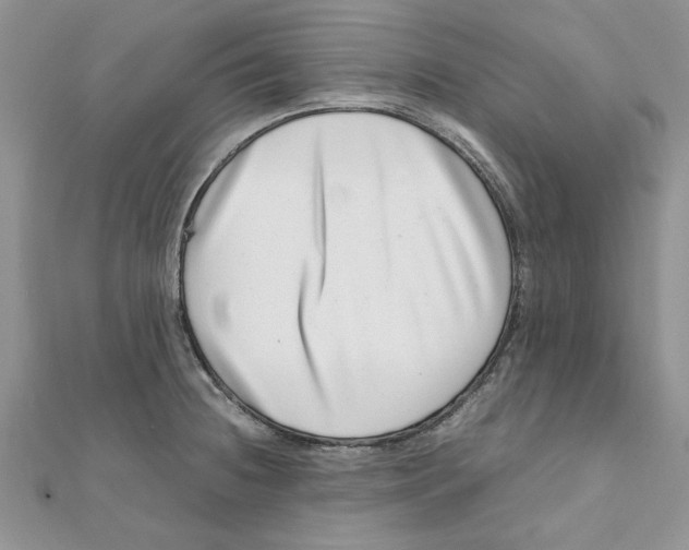 X0000111661236200908141306