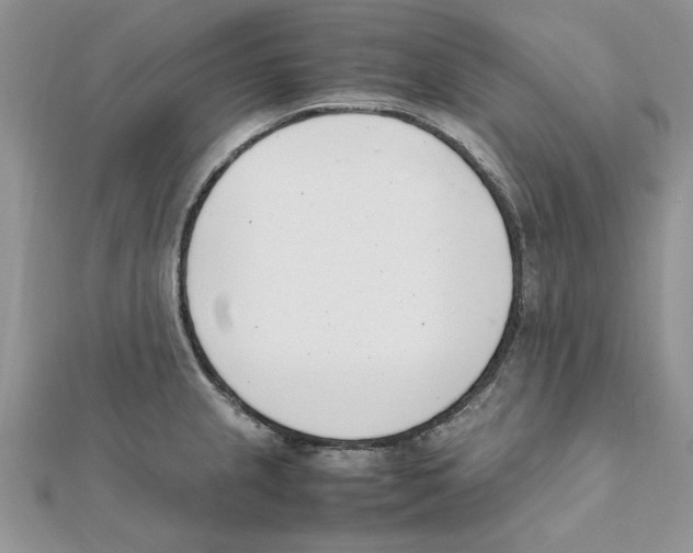 X0000111661237200908141307