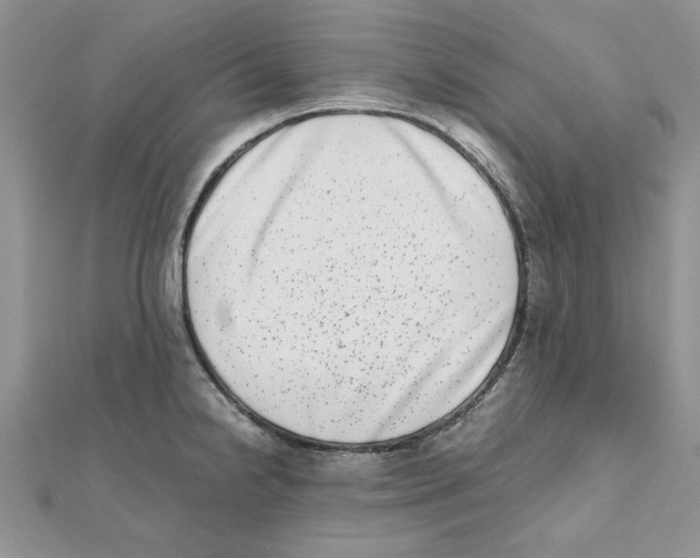 X0000111661238200908141307