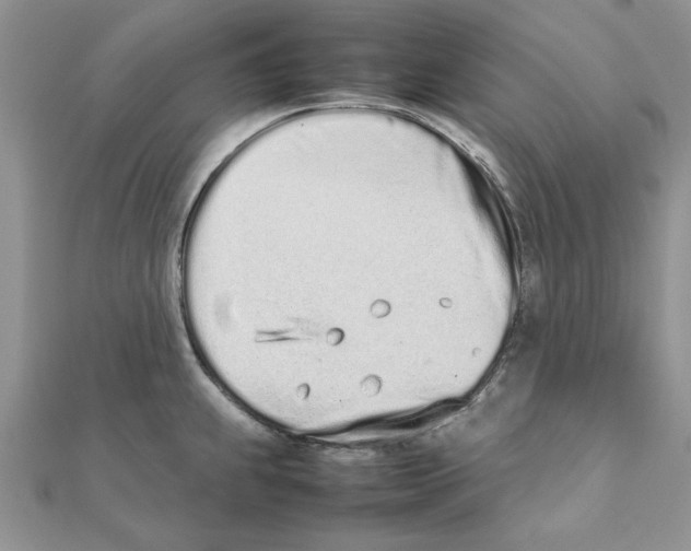 X0000111661239200908141307