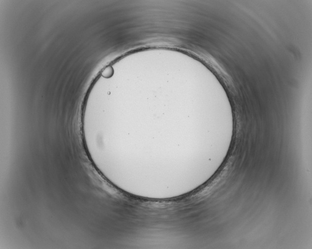 X0000111661240200908141307