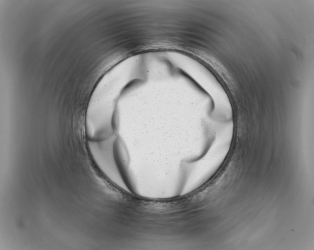 X0000111661241200908141307