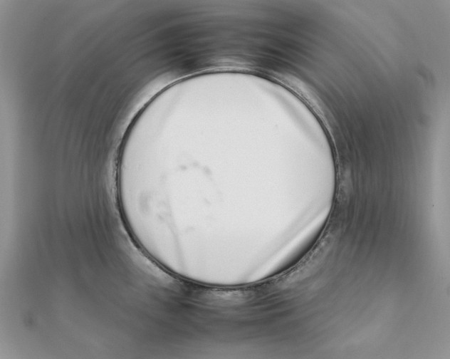 X0000111661243200908141307