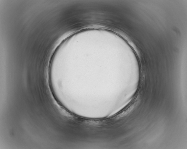 X0000111661245200908141307