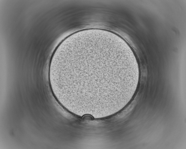 X0000111661246200908141307