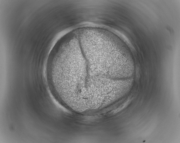 X0000111661247200908141307