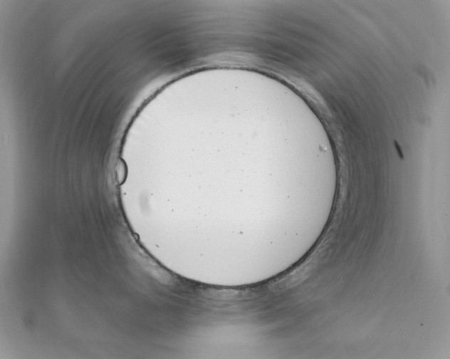 X0000111661248200908141307