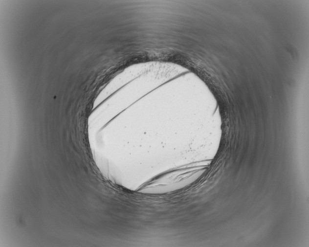 X0000111661249200908141306