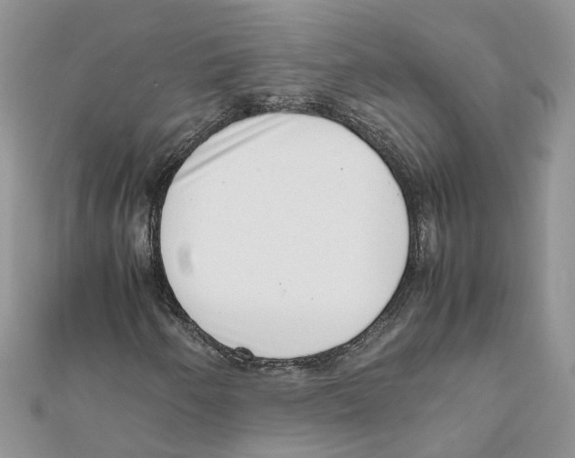 X0000111661250200908141306