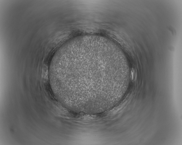 X0000111661251200908141306