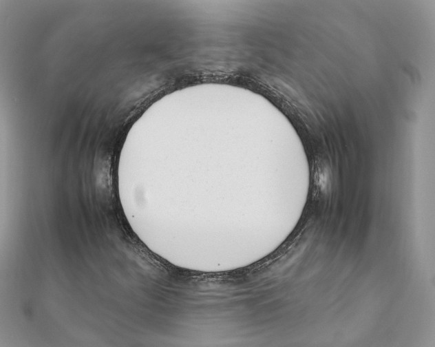 X0000111661252200908141306