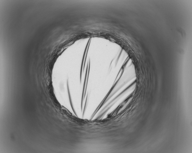 X0000111661253200908141306