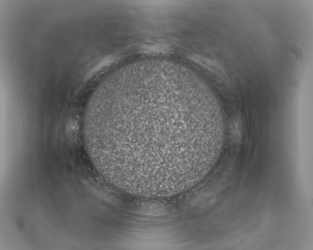 X0000111661254200908141306