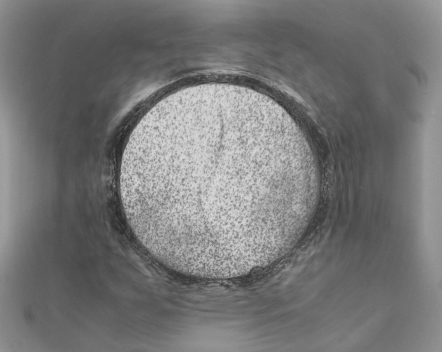 X0000111661255200908141306