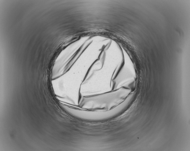 X0000111661257200908141306