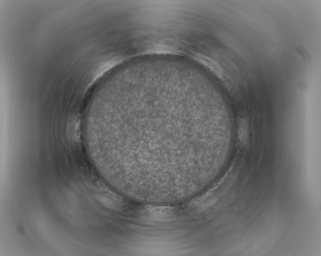 X0000111661258200908141306