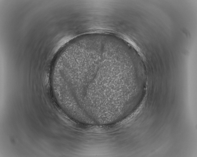 X0000111661259200908141306