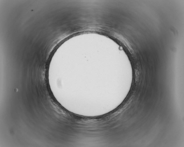 X0000111661260200908141306