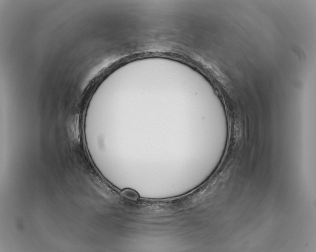 X0000111661262200908141306