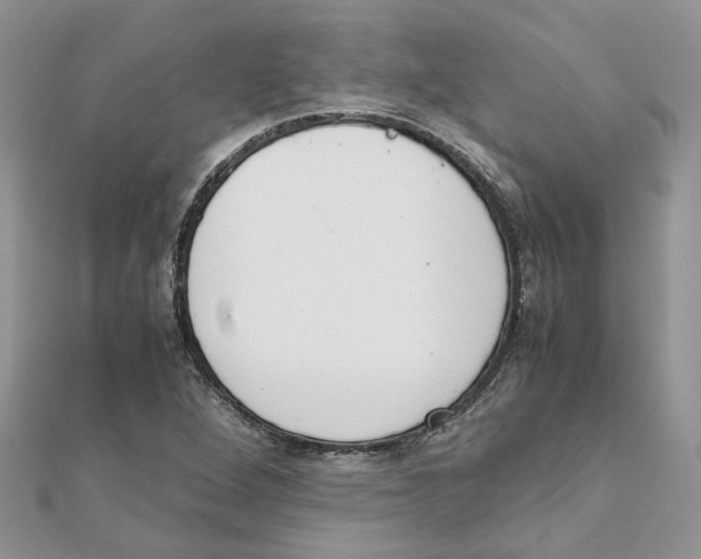 X0000111661264200908141306