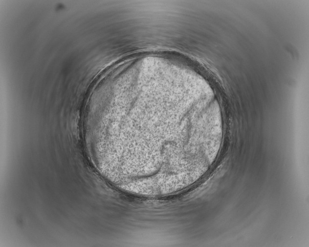 X0000111661265200908141306