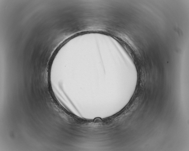 X0000111661268200908141306