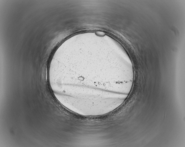 X0000111661269200908141306