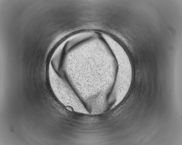 X0000111661270200908141306