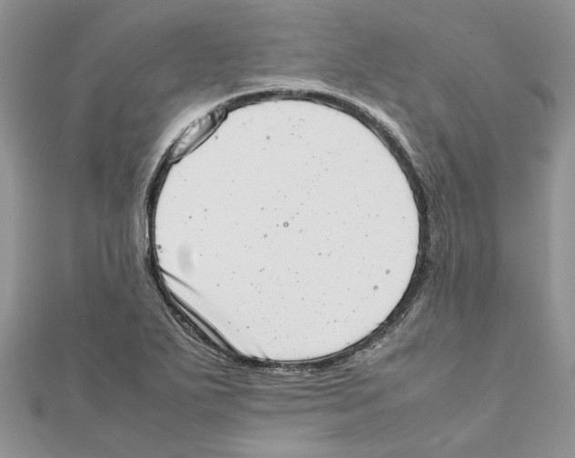 X0000111661271200908141306