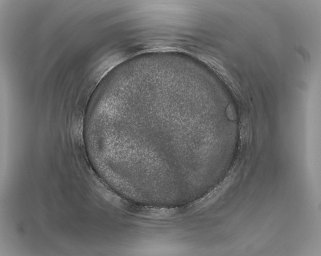 X0000111661273200908141306