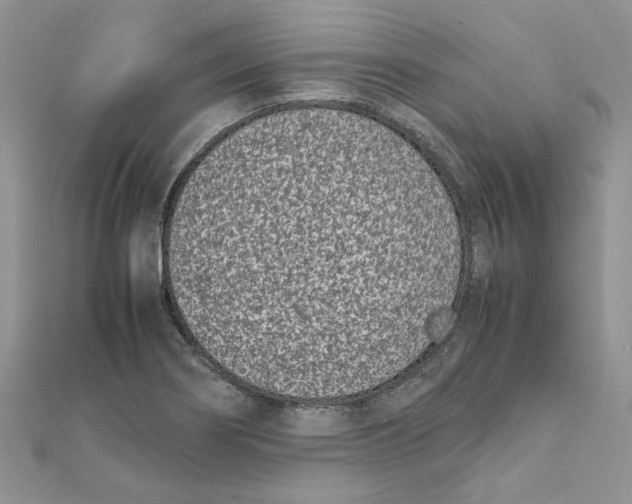 X0000111661274200908141306