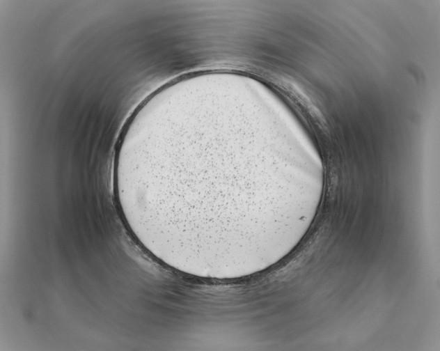 X0000111661276200908141306