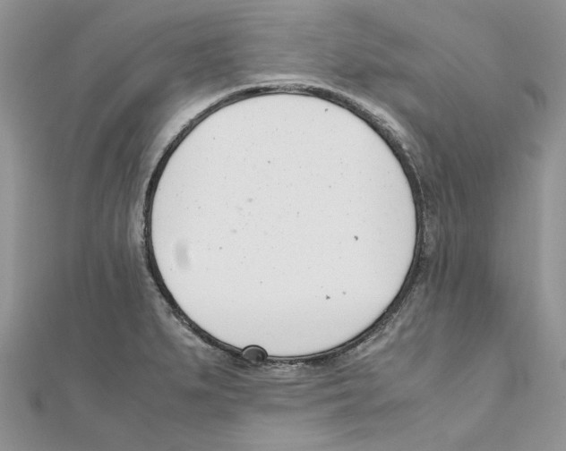 X0000111661279200908141306