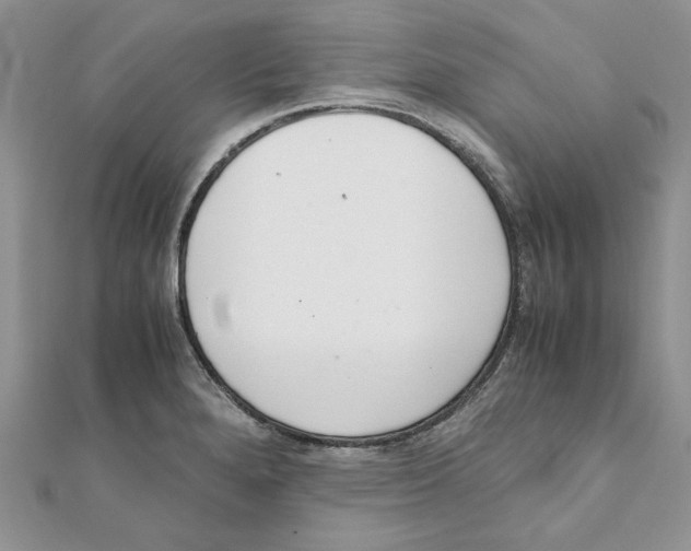 X0000111661280200908141306