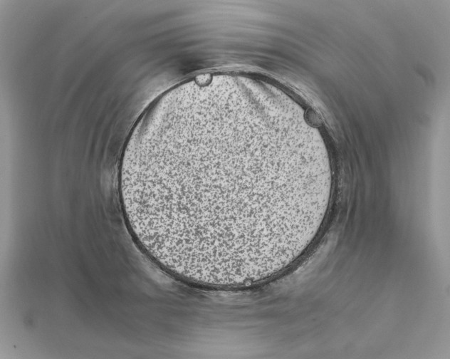 X0000111661281200908141306