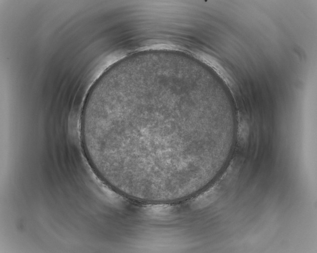 X0000111661282200908141306