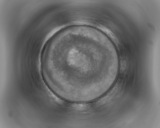 X0000111661286200908141306